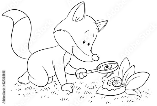 Ein niedlicher Fuchs untersucht eine Schnecke mit einem Vergrößerungsglas