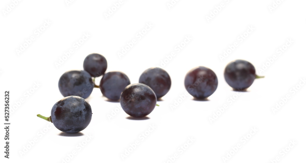 Dark grapes, isolated on white background Dark grapes, isolated on white background