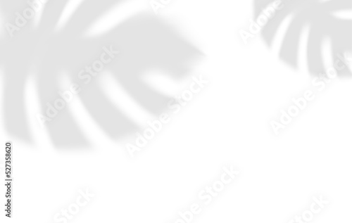 illustration with shadow overlay effect. leaf shadow