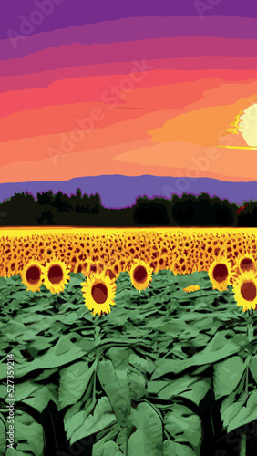 Landscape Of Sunflower fields And blue Sky clouds Background.Sunflower fields landscapes on a bright sunny day with patterns formed in natural background.
