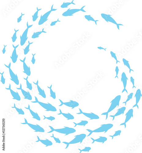 Fish shoal curl. Sea animal swimming group