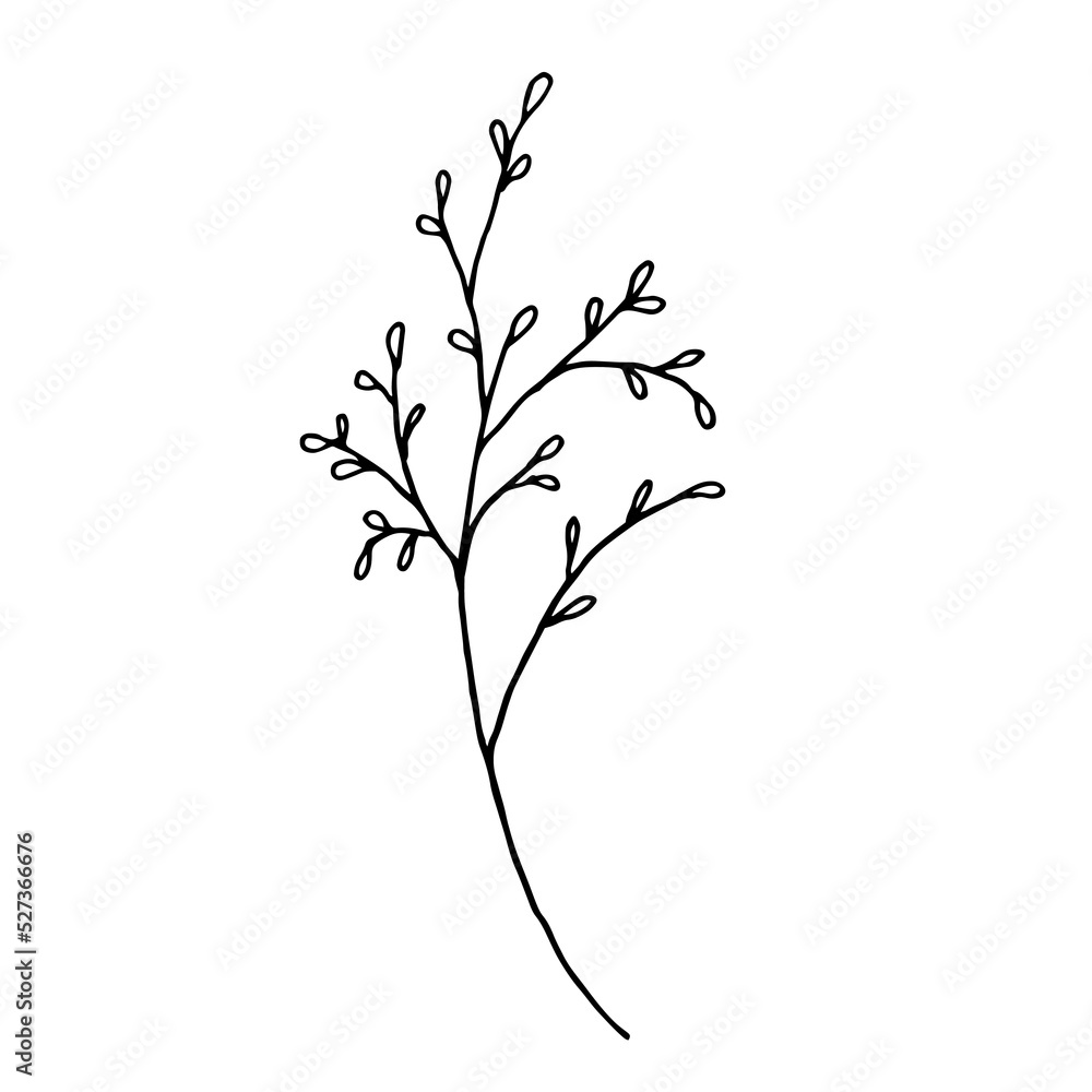 Hand drawn tree branch with leaves, vector doodle
