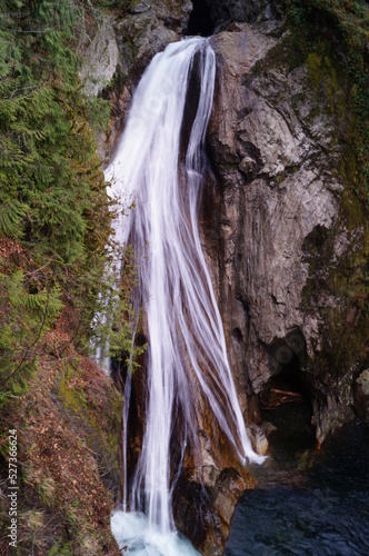 waterfall in the forest