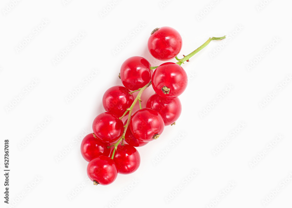 Berries of fresh raw ripe red currants on a green sprig, isolated on white background, macro photography Berries of fresh raw ripe red currants on a green sprig, isolated on white background, macro photography