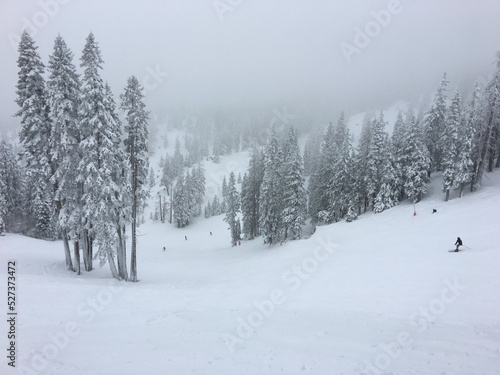 Powdery Tahoe winter wonderland