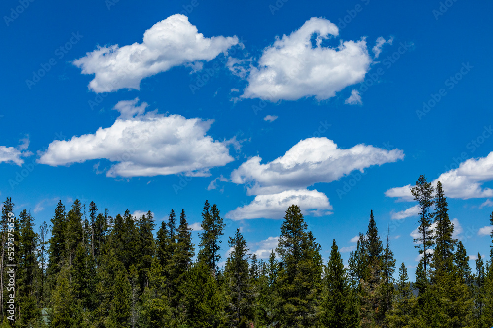 United States, Idaho, Stanley, White clouds over forest near Sun Valley United States, Idaho, Stanley, White clouds over forest near Sun Valley