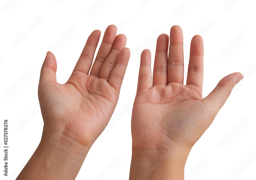 Woman hand isolated transparency background Woman hand isolated transparency background