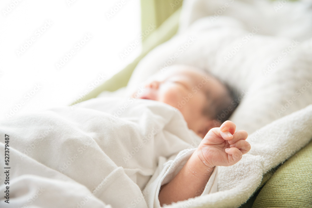 新生児(0歳0ヶ月) 新生児(0歳0ヶ月)