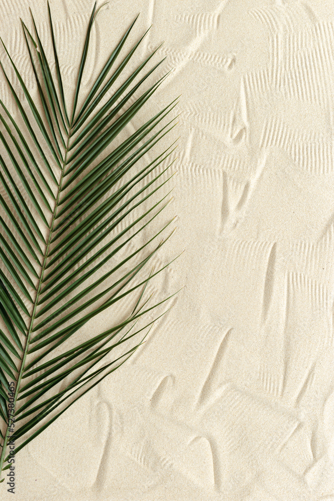 Obraz premium Summer minimal background, top view natural green palm leaf on fine sand. Summer aesthetic photo pale beige colored with palm plant, copy space, nobody, vacation and relaxation concept.