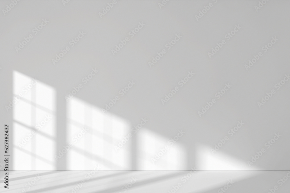 Shadow of Window and Sunlight on Empty Room White Wall and Floor. 3d Rendering Shadow of Window and Sunlight on Empty Room White Wall and Floor. 3d Rendering
