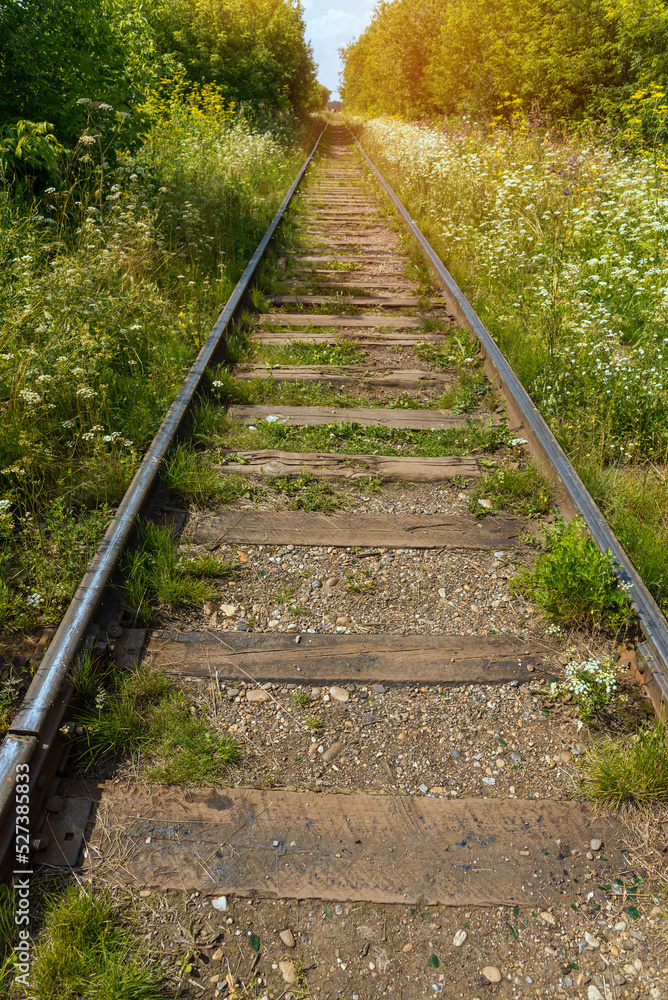 A railway track in the middle of the forest stretching to the horizon. A railway track in the middle of the forest stretching to the horizon.