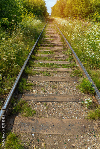 A railway track in the middle of the forest stretching to the horizon.