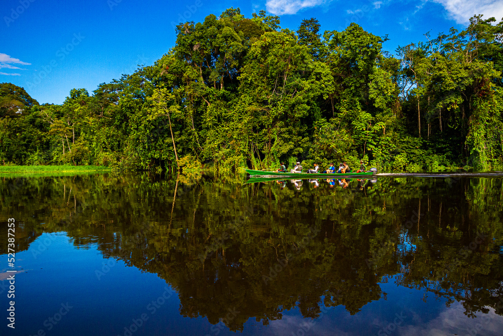 lake and forest at amazonia, brazil