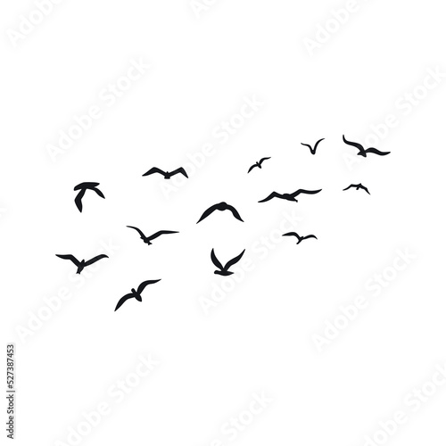 A flock of flying silhouette birds. Vector illustration © Nadzin