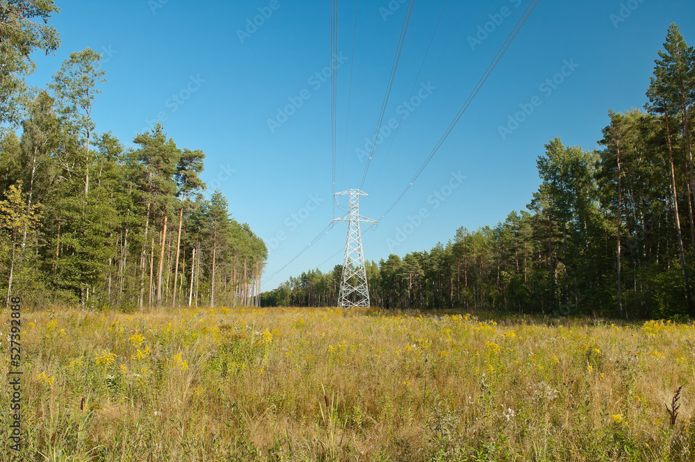 power lines in the forest in the background blue sky