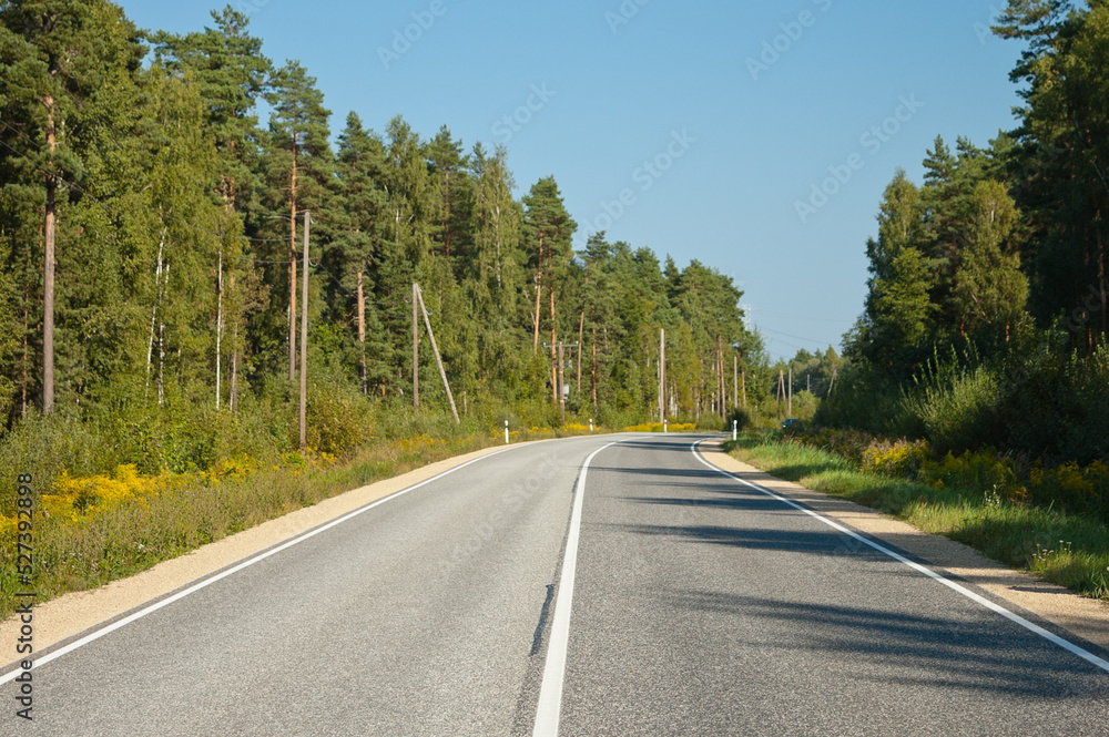 a highway, in the photo a road in the forest against a blue sky background