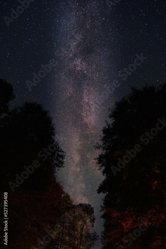 Beautiful milky Way galaxy above a forrest 