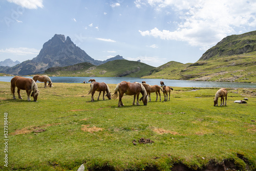 Les lacs d'Aïous et le Pic du midi d'Ossau, Pyrénées 2022