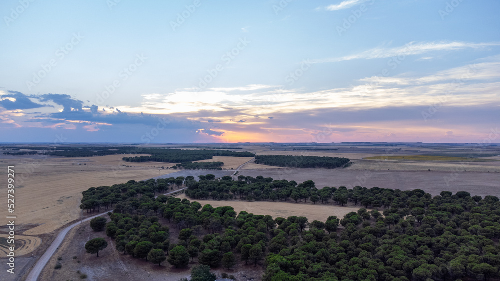 drone view of sunset in the middle of the countryside with dirt roads and trees