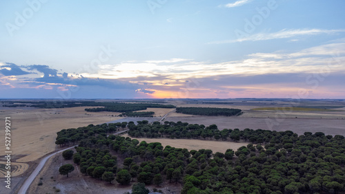 drone view of sunset in the middle of the countryside with dirt roads and trees