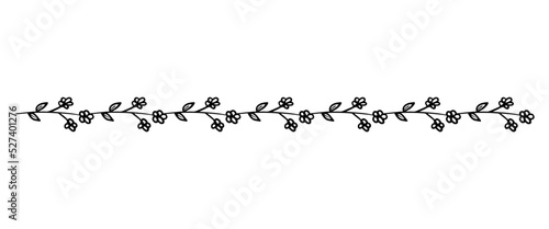 floral border divider
