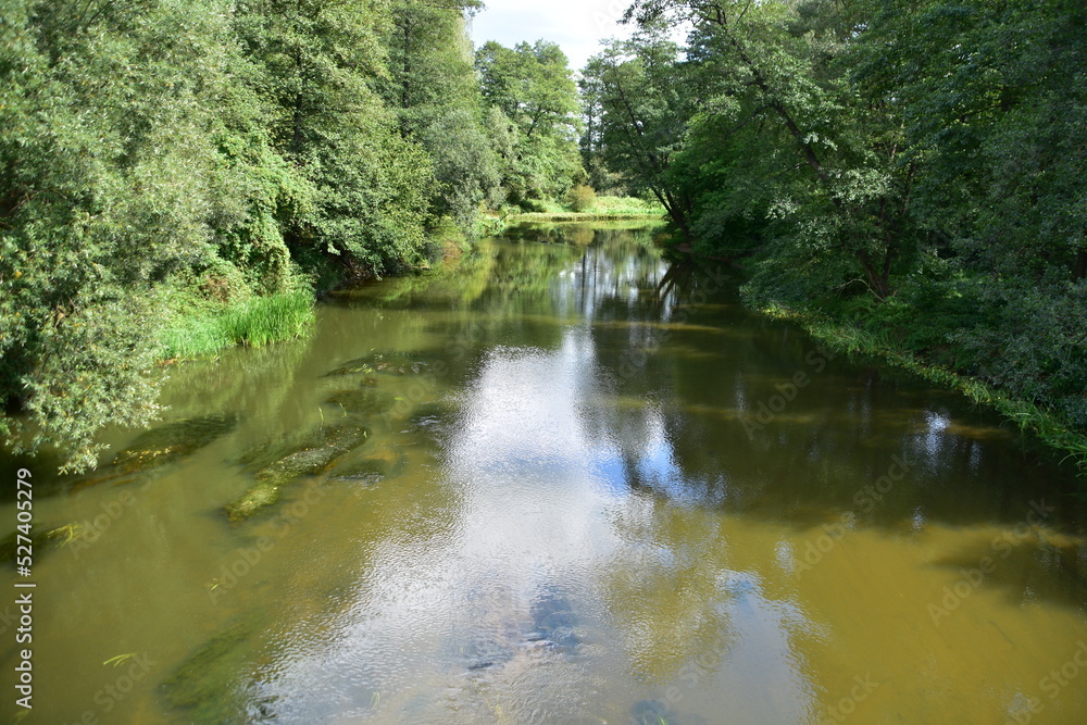 rzeka, Czarna Nida, woda, potok, zieleń