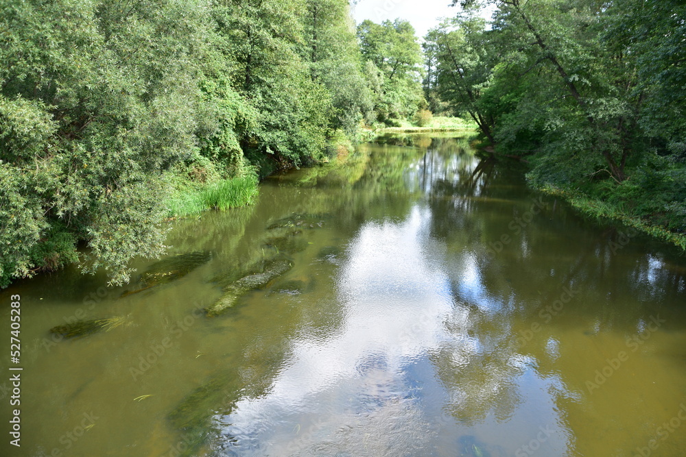 rzeka, Czarna Nida, woda, potok, zieleń rzeka, Czarna Nida, woda, potok, zieleń