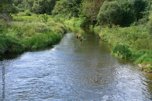 rzeka, Czarna Nida, woda, potok, zieleń photo
