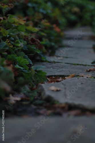 the route is the goal
