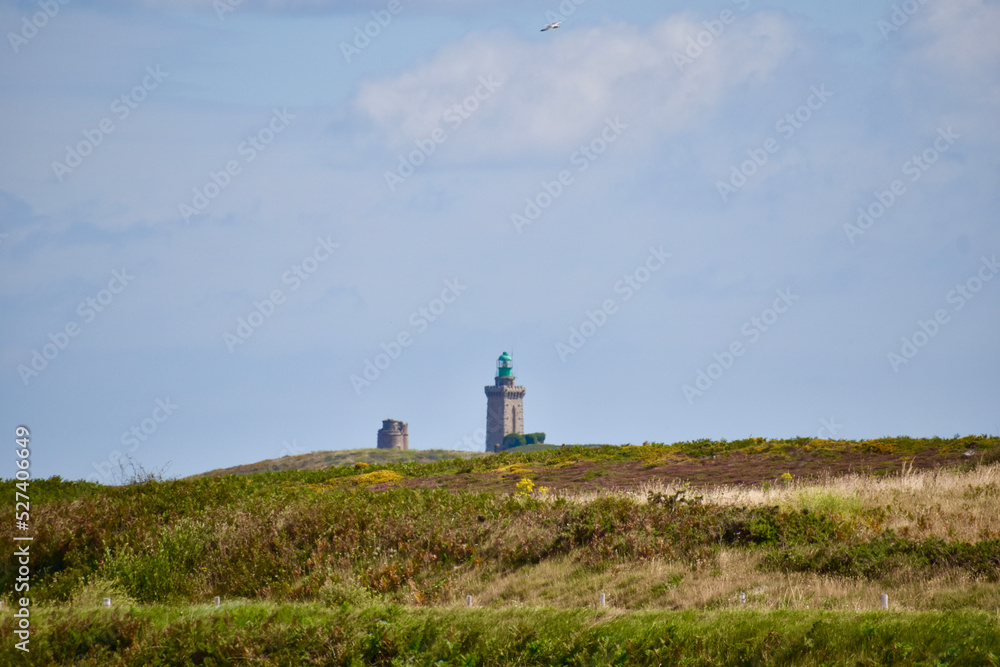 A distant view of a lighthouse on a grassy hill under a blue sky, surrounded by wildflowers and rugged coastal vegetation, evoking maritime charm. A distant view of a lighthouse on a grassy hill under a blue sky, surrounded by wildflowers and rugged coastal vegetation, evoking maritime charm.