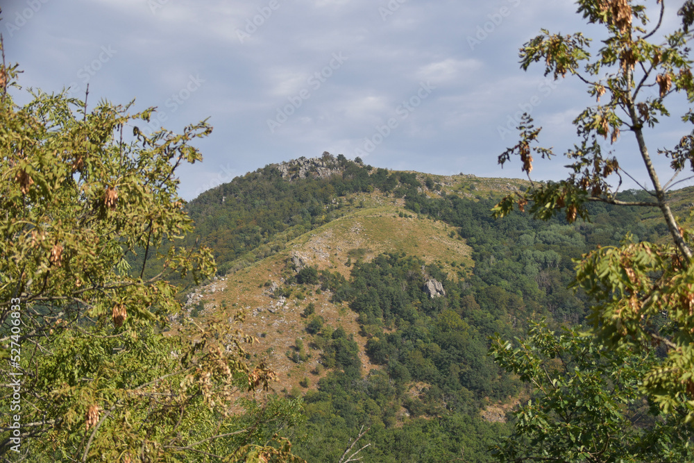 A scenic mountain landscape framed by tree branches, with a grassy hilltop and rocky outcrops under a partially cloudy sky, highlighting natural beauty A scenic mountain landscape framed by tree branches, with a grassy hilltop and rocky outcrops under a partially cloudy sky, highlighting natural beauty