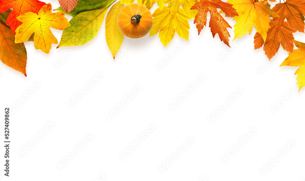 Fototapeta premium Isolated autumn leaves on white background. Fall concept.