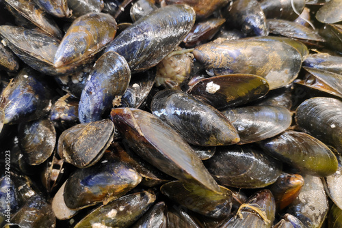Mussels for sale at a market stall