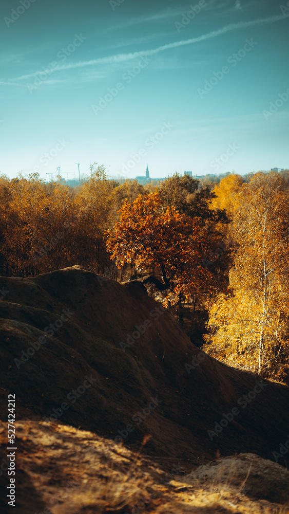 Fototapeta premium hill