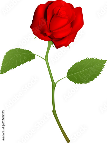Illustration of a beautiful...