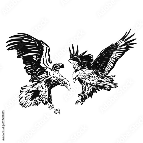vector illustration of two eagles