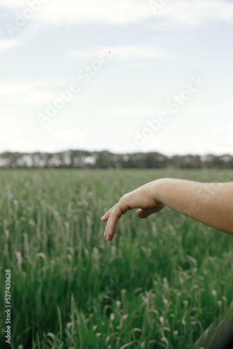 Hand in window of a car on background of wheat field. Man sticking his hand out of a car window in green fields. Enjoying summer vacation in countryside. Road trip © sonyachny
