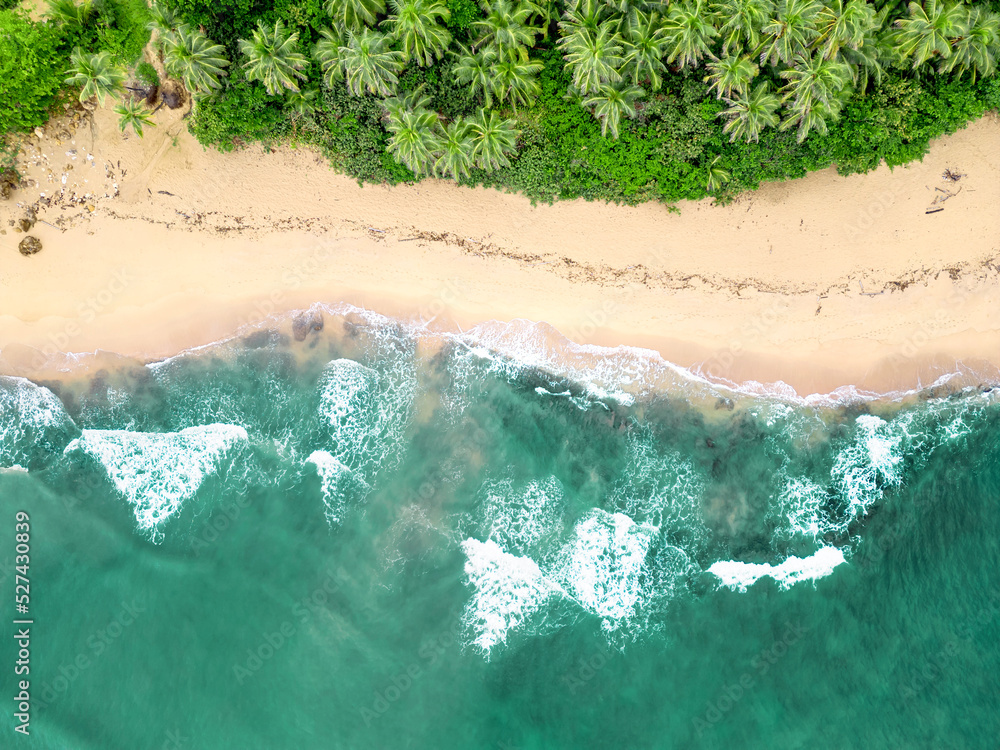 An aerial view of a tropical sandy beach with rocks palm trees and blue ocean.