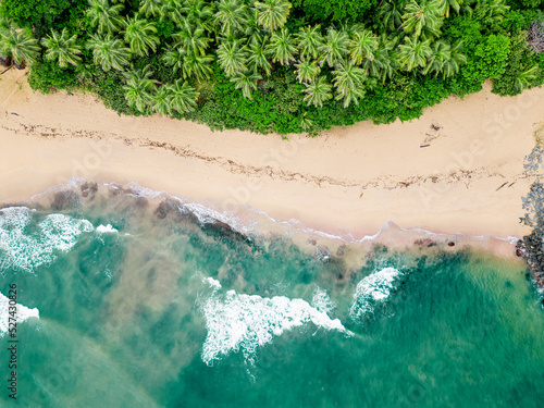 An aerial view of a tropical sandy beach with rocks palm trees and blue ocean.