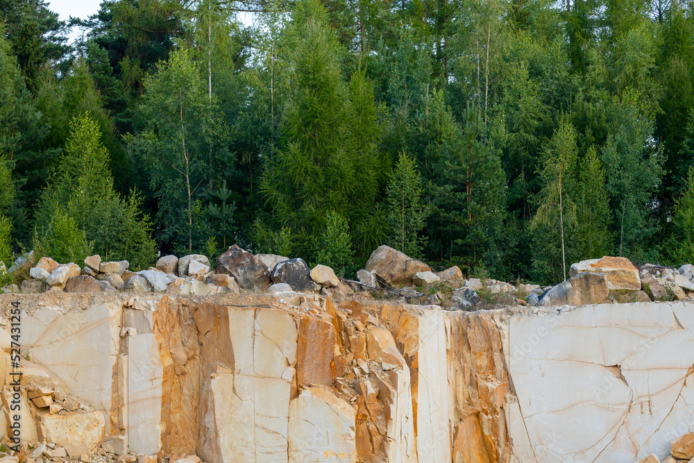 Rocks in a quarry, green trees growing on stones Rocks in a quarry, green trees growing on stones