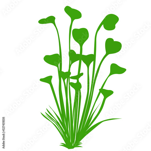 Cute aquarium plants. Vector illustration in cartoon style