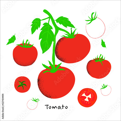 Fototapeta Naklejka Na Ścianę i Meble -  red tomato design, vegetable, fresh tomato, organic