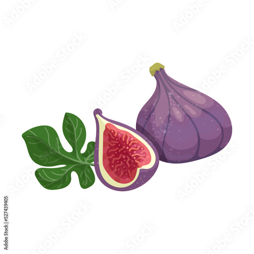 Ripe fig, half fruit with green fig tree leaves.Isolated vector graphic.