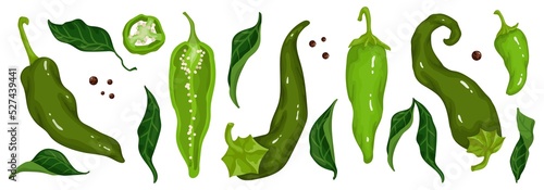 Set of green chili peppers, halves and pieces of hot vegetable.Vector graphics.