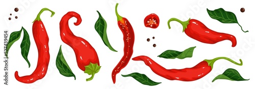 A set of red, hot chili peppers, halves and pieces of a spicy vegetable, green leaves.Vector graphics.