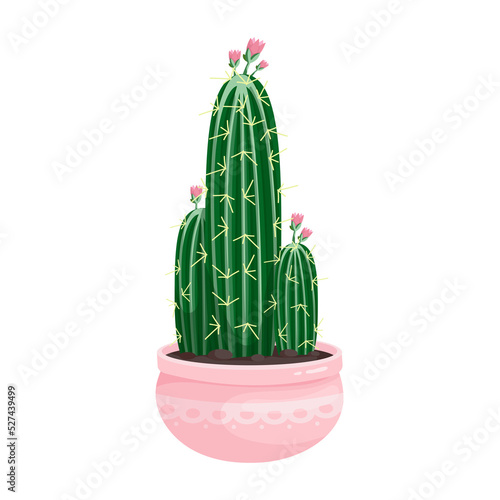 Blooming cactus in a ceramic flowerpot. Cartoon vector graphics.