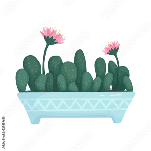 Blooming cactus in a ceramic flowerpot. Cartoon vector graphics.