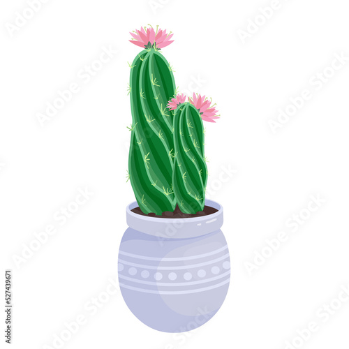 Blooming cactus in a ceramic flowerpot. Cartoon vector graphics.