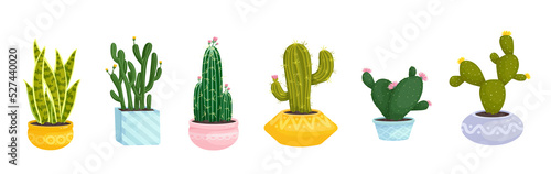 Collection of flowering cacti and succulents in ceramic pots.Cartoon vector graphics.
