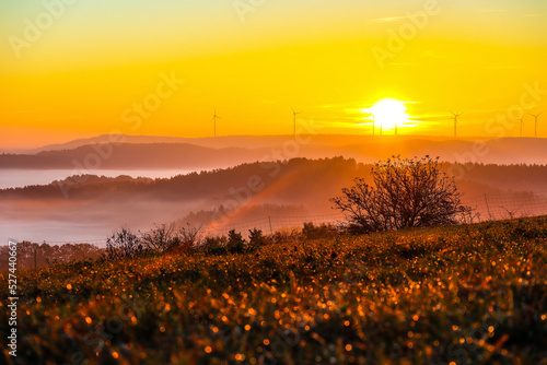 Sonnenaufgang an der Neubürg im Landkreis Bayreuth
